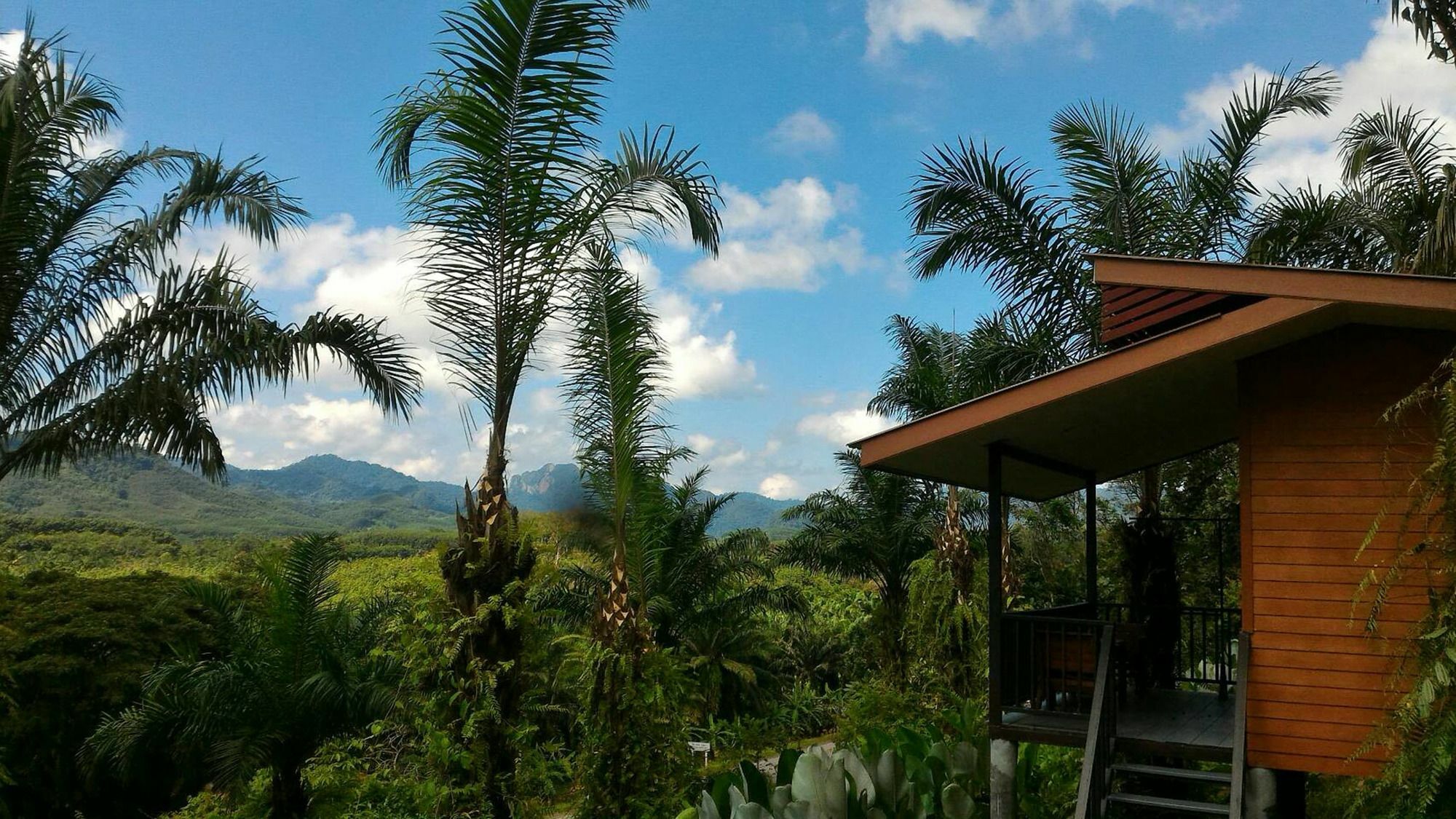 Khao Sok Horizon Otel Phanom Dış mekan fotoğraf